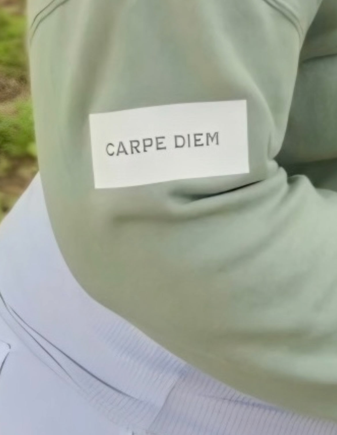 Carpe Diem - Crop Top Crewneck